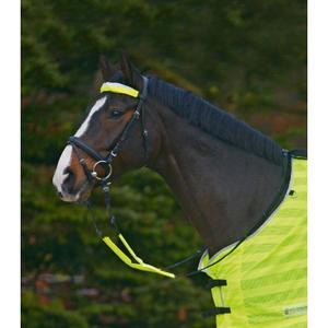 product/w/a/waldhausen_380500_neon-jaune_1.jpg