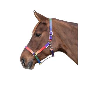 product/w/a/waldhausen_501099-wb_neon-multicolor_2.jpg