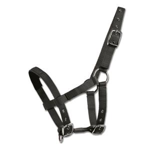 product/w/a/waldhausen_504501_noir_1.jpg
