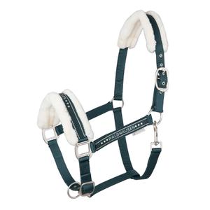 product/w/a/waldhausen_5047364-wb_vert-sapin_1.jpg