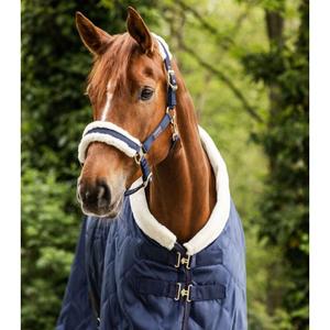 product/w/a/waldhausen_5051705-vb_bleu-nocturne-beige_3.jpg