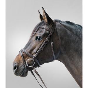 68047030-vb-bridon-equitation-muserolle-combinee-star-lifestyle-marron
