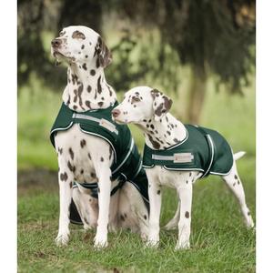 80020064-35-impermeable-pour-chien-waldhausen-vert-sapin