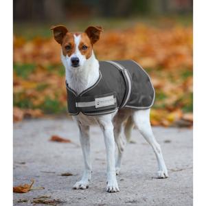 8018115-035-impermeable-pour-chien-waldhausen-comfort-asphalte