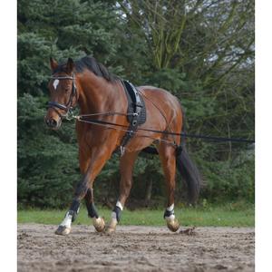 8104701-2-systeme-de-longe-waldhausen-noir