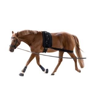 8105301-2-bandage-elastique-pour-cheval-waldhausen-corporel-noir-cob-full