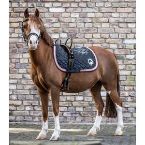 product/w/a/waldhausen_8114463_3.jpg
