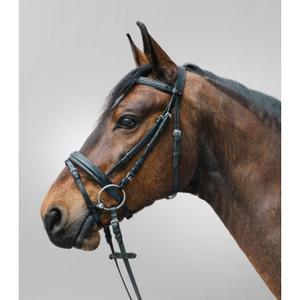 81357001-vb-bridon-equitation-muserolle-combinee-star-diamond-noir