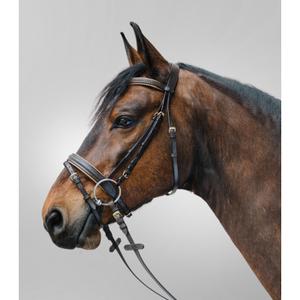 81357030-vb-bridon-equitation-muserolle-combinee-star-diamond-marron-or