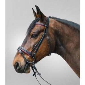 81357054-vb-bridon-equitation-muserolle-combinee-star-diamond-fuchsia