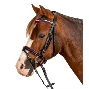 8142501-msh-bridon-equitation-muserolle-combinee-star-pinky-noir