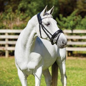 100157000-bridon-equitation-anatomique-weatherbeeta-therapy-tec-black-red