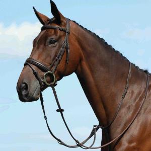 1003104008-martingale-plate-unie-pour-cheval-weatherbeeta-collegiate-syntovia-brown
