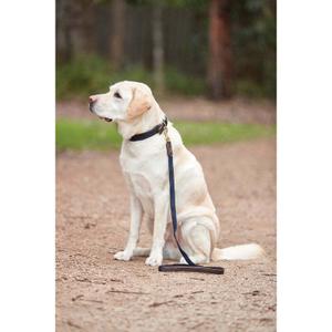 product/w/e/weatherbeeta_1003295010_brown-navy_3.jpg