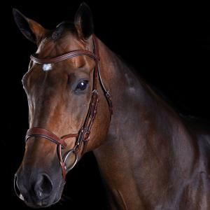 816079-818444-bridons-equitation-d-entrainement-pour-cheval-weatherbeeta-collegiate-comfitec-brown