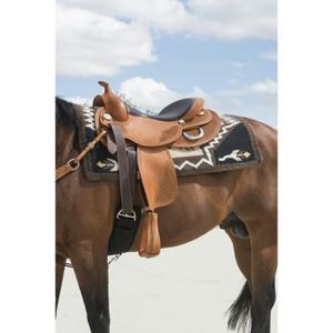 product/w/e/westride_800043016_2.jpg