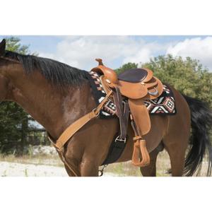 product/w/e/westride_800043016_8.jpg