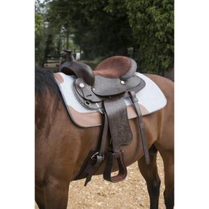 product/w/e/westride_800079004_3.jpg