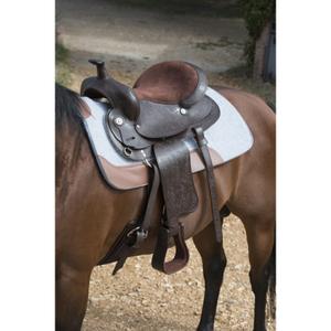 product/w/e/westride_800079004_5.jpg