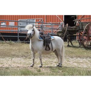 801088017-tapis-de-western-pour-cheval-matelasse-westride-navajo-taille-shetland-turquoise-noir-blanc-shetland