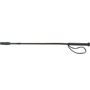 product/w/h/whip-go_950015004.jpg