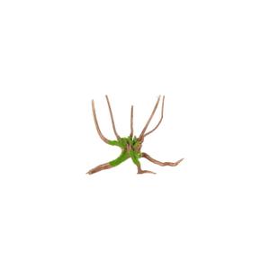product/z/o/zolux_356056_marron_1.jpg
