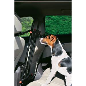 403018-grille-de-securite-auto-avant-pour-chien-zolux-noir-tu