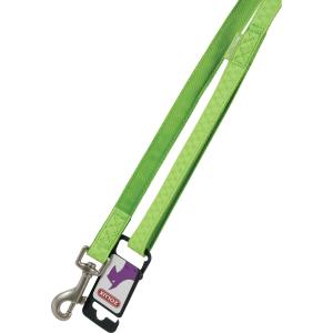 435168ani-laisse-pour-chien-zolux-mac-leather-vert-20-mm