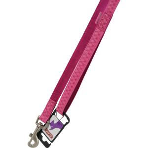 435168fus-laisse-pour-chien-zolux-mac-leather-rose-20-mm