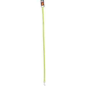 462020ani-laisse-nylon-pour-chien-zolux-anis-anis-20-mm