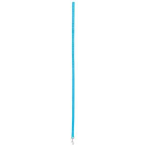 462020tur-laisse-nylon-pour-chien-zolux-turquoise-turquoise-20-mm