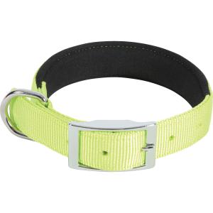 466726ani-collier-nylon-confort-pour-chien-zolux-anis-40-cm