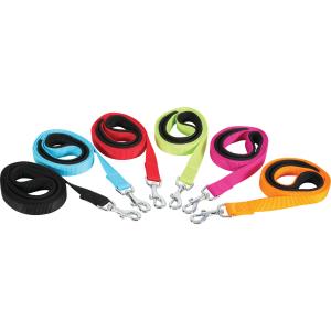 466732fus-laisse-nylon-confort-pour-chien-zolux-fushia-20-mm