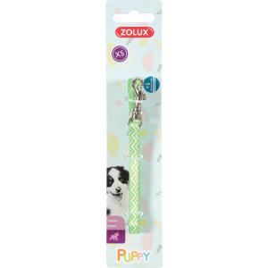 466742ver-laisse-pour-chien-zolux-puppy-pixie-vert-8-mm