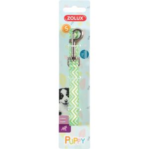 466745ver-laisse-pour-chien-zolux-puppy-pixie-green-13-mm