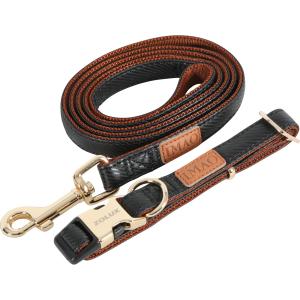 466770noi-collier-reglable-pour-chien-zolux-imao-mayfair-black-25-mm