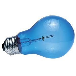 387161-ampoule-zoomed-daylight-db60-blue-60-w