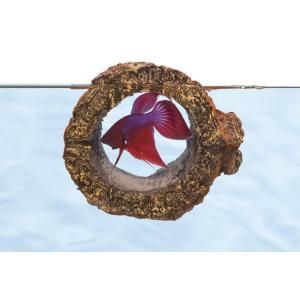 387970-decoration-d-aquarium-zoomed-betta-log-bl10e-marron-tu